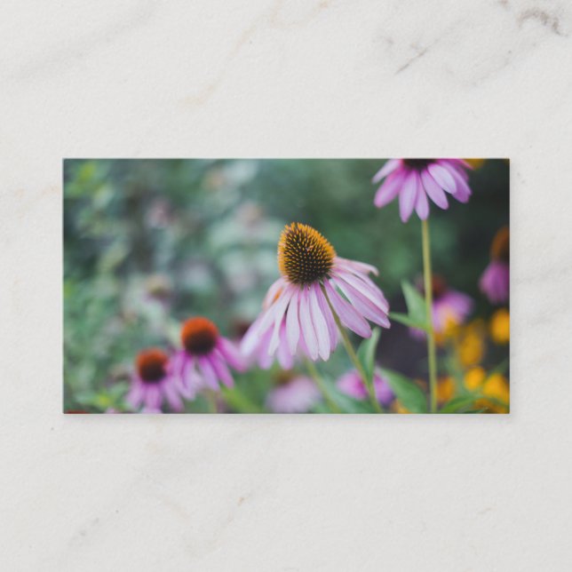 Pink Coneflower Garden Business Card (Front)