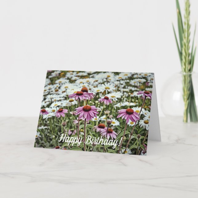 Pink Coneflowers and Daisies Happy Birthday Card (Front)