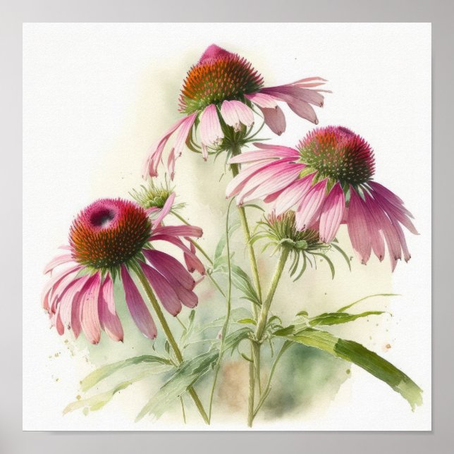 Pink Coneflowers Art Print Poster (Front)