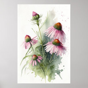Pink Coneflowers Art Print Poster