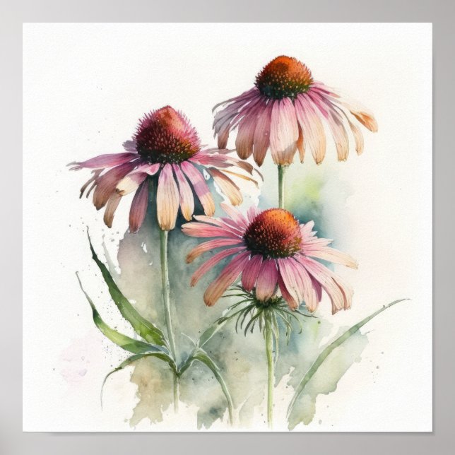 Pink Coneflowers Art Print Poster (Front)