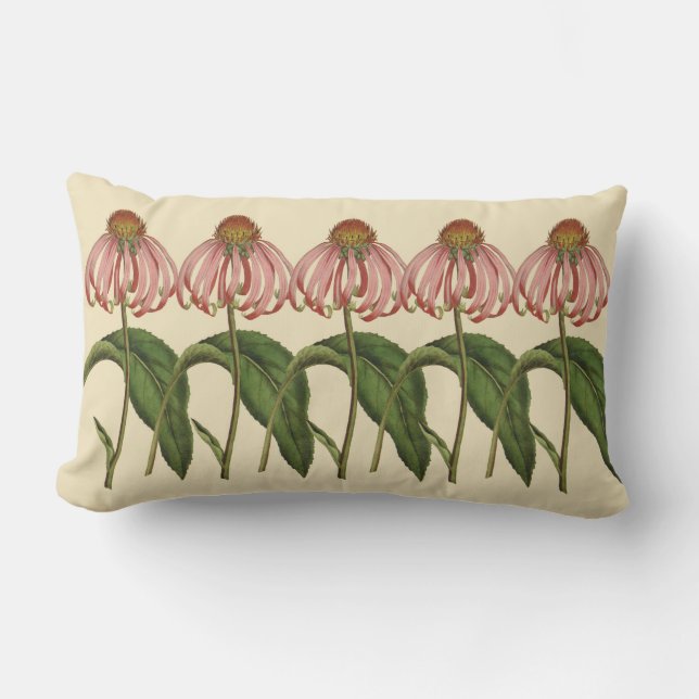Pink Coneflowers Botanical Outdoor Lumbar Pillow (Front)