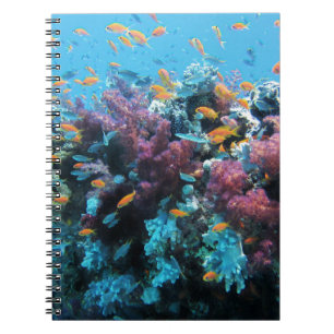 Pink Coral Notebook