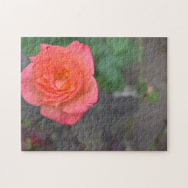 Pink Coral Rose Flower Garden Floral Nature Photo Jigsaw Puzzle (Horizontal)