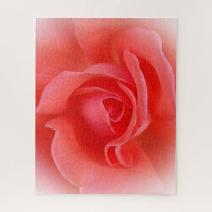 pink coral rose jigsaw puzzle