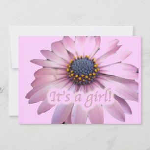 Pink Coreopsis Daisy It's a Girl Baby Announcement