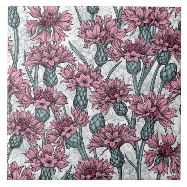Pink cornflowers, wild flowers on white tile (Front)