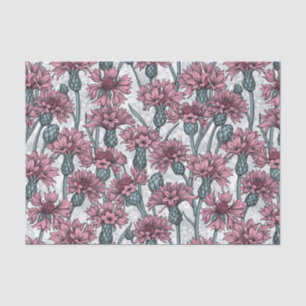 Pink cornflowers, wild flowers on white tissue paper