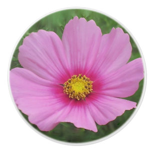 Pink Cosmos Ceramic Knob