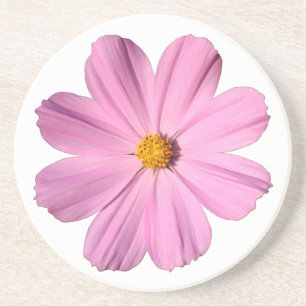 Pink Cosmos Coaster