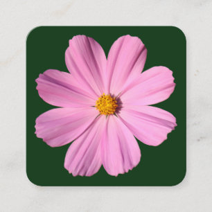 Pink Cosmos - Dark Green Square Business Card