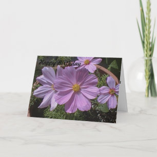 Pink Cosmos Flower Birthday Card