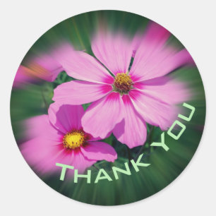 Pink Cosmos Flower Thank You Classic Round Sticker