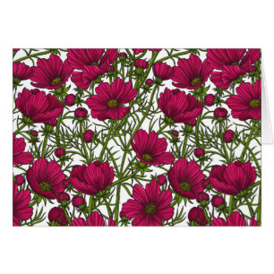 Pink Cosmos flowers