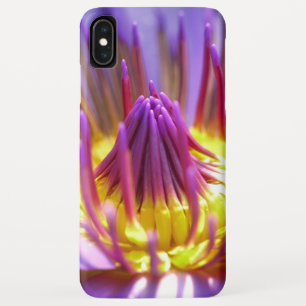 Pink Cosmos Flowers iPhone / iPad case
