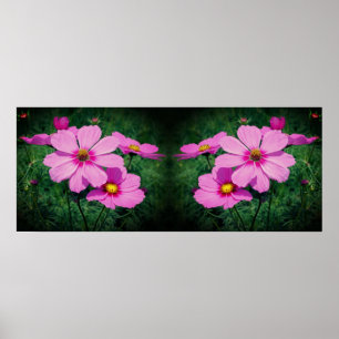 Pink Cosmos Flowers Mirror Abstract Poster