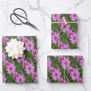 Pink Cosmos Flowers Nature Pattern Wrapping Paper Sheet