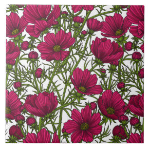 Pink Cosmos flowers Tile