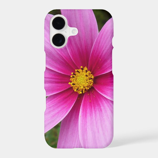 Pink Cosmos Flowers Wildflower (Back)