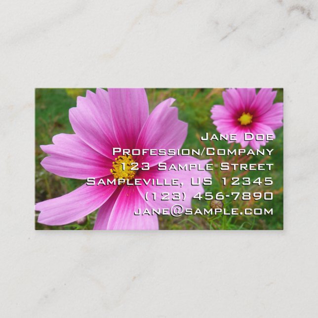 Pink Cosmos Flowers Wildflower Business Card (Front)