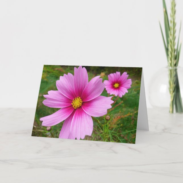 Pink Cosmos Flowers Wildflower Card (Front)
