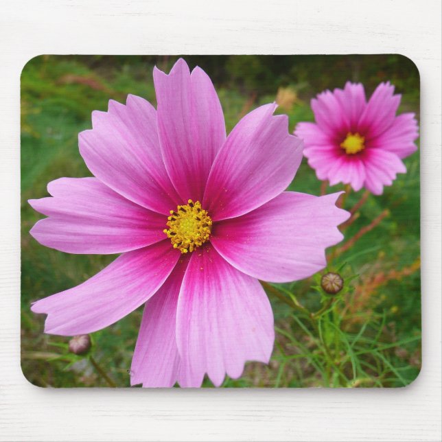 Pink Cosmos Flowers Wildflower Mouse Mat (Front)
