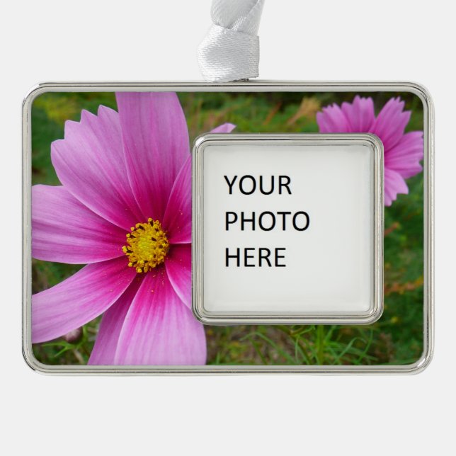 Pink Cosmos Flowers Wildflower Silver Plated Framed Ornament (Front)