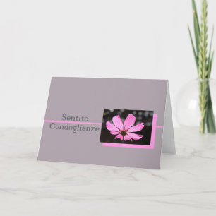pink cosmos italian sympathy card