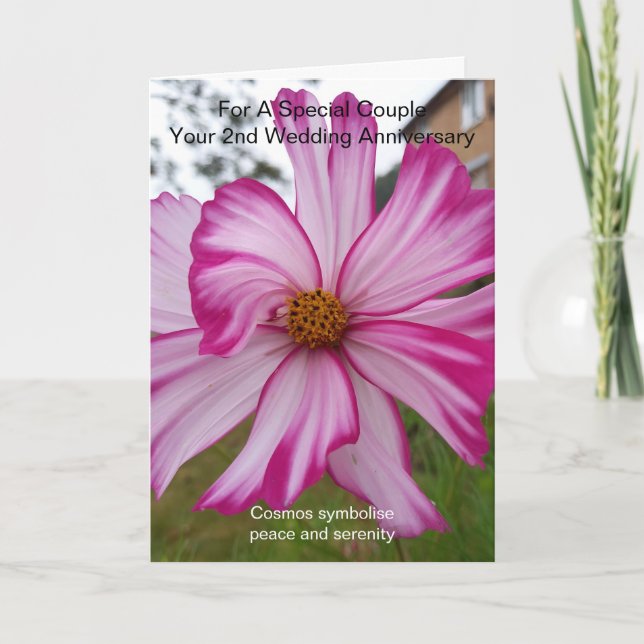 Pink Cosmos Personalised 2nd Wedding Anniversary Card (Front)