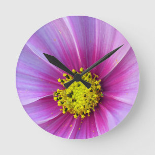Pink Cosmos Round Clock