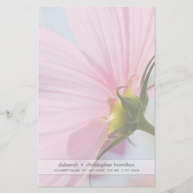 Pink Cosmos • Stationery (Front)