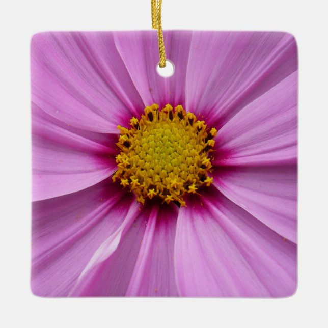 Pink Cosmos Wildflower Floral Ceramic Tree Decoration (Front)