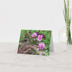 Pink Cosmos with Coleus Card