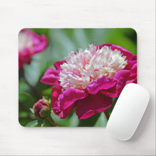 Pink Cottage Peony Botanical Garden Flower Mouse Mat