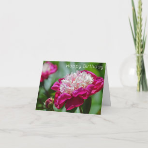 Pink Cottage Peony Flower Happy Birthday Card