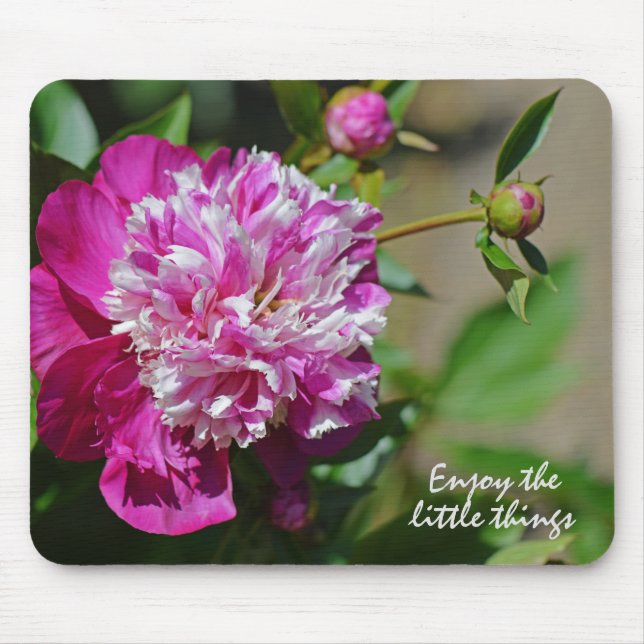 Pink Cottage Peony Flower Motivation Mouse Mat (Front)