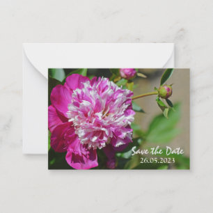 Pink Cottage Peony Flower Save the Date Card