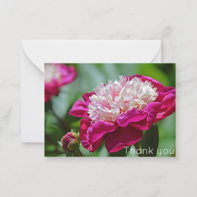 Pink Cottage Peony Flower Thank you Card (Front)