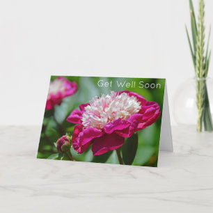 Pink Cottage Peony Garden Flower Get Well Soon Card