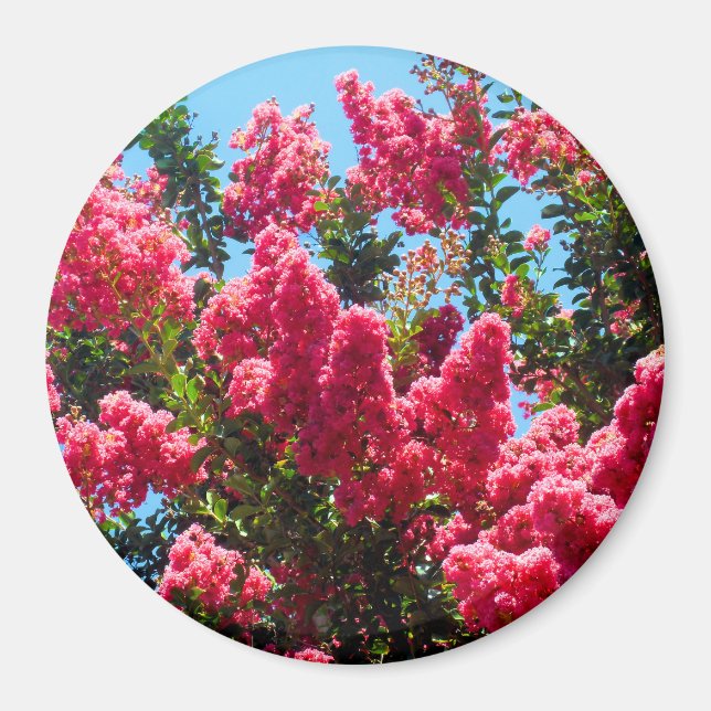 Pink Crape Myrtle Flowers Photography Magnet (Front)