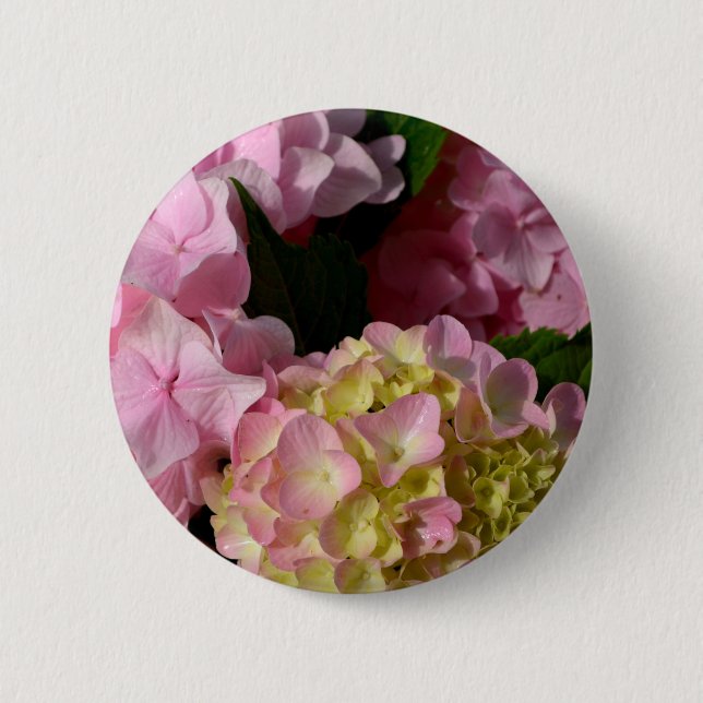 Pink Cream Hydrangeas yellow pink green floral  6 Cm Round Badge (Front)