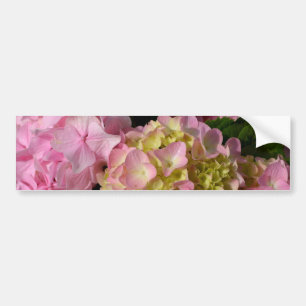 Pink Cream Hydrangeas yellow pink green floral Bumper Sticker