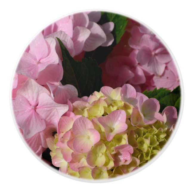 Pink Cream Hydrangeas yellow pink green floral  Ceramic Knob (Front)