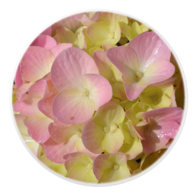 Pink Cream Hydrangeas yellow pink green floral  Ceramic Knob (Front)