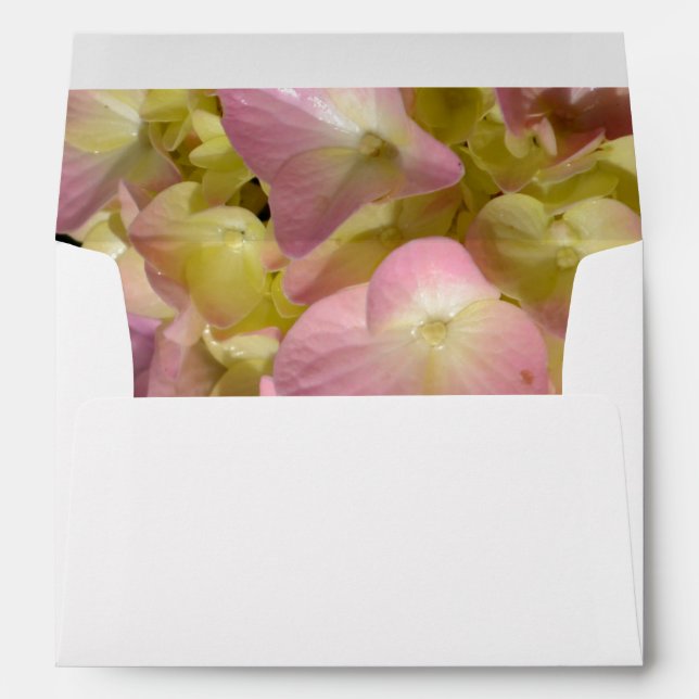 Pink Cream Hydrangeas yellow pink green floral  Envelopes (Back (Bottom))