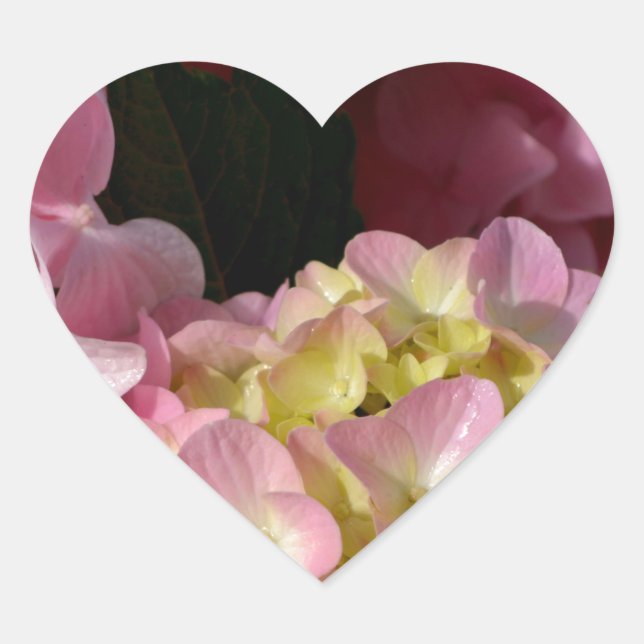 Pink Cream Hydrangeas yellow pink green floral  Heart Sticker (Front)