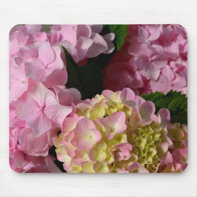 Pink Cream Hydrangeas yellow pink green floral  Mouse Mat (Front)