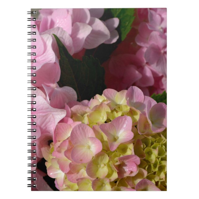 Pink Cream Hydrangeas yellow pink green floral  Notebook (Front)