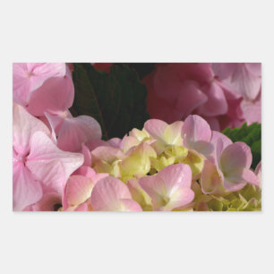 Pink Cream Hydrangeas yellow pink green floral  Rectangular Sticker