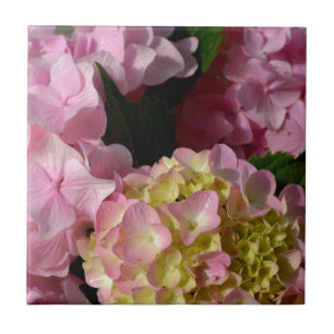 Pink Cream Hydrangeas yellow pink green floral  Tile